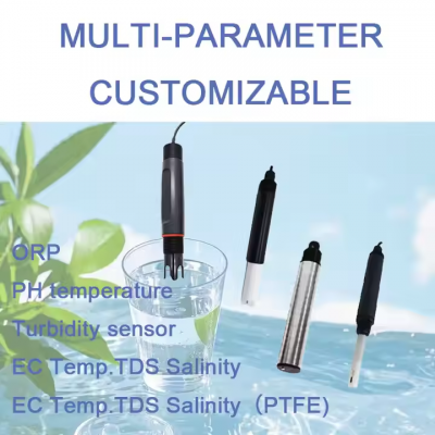 Testermeter-RS485 Digital Water Quality Monitoring Fish Shrimp Farming Agriculture 4-20mA Online pH Meter With pH Sensor for Aquaculture