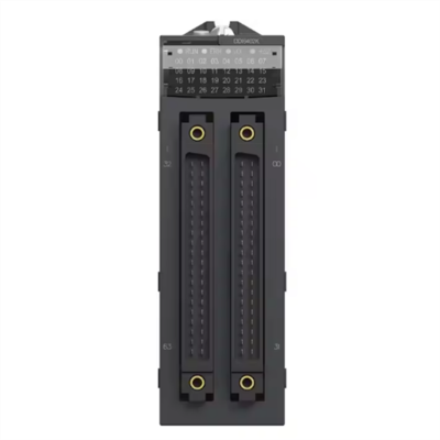 Testermeter-New & Original PLC Schneider Modicon X80 Electric 64 Inputs 24V DC Positive Discrete Input Module BMXDDI6402K