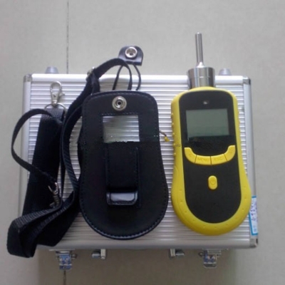 Testermeter-Handheld Ozone Gas Detector Ozone Analyzer 0-50ppm O3 Sensor Ozone With Sampling Pump ATEX CE ISO9001