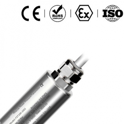 Testermeter-FST100-1001 Low Power Pressure Transmitter