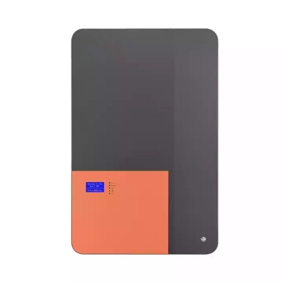 Testermeter-Wall Mounted Lithium Energy Storage Battery 100AH 48V LiFePO4 Battery with BMS