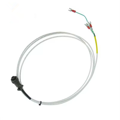 Testermeter-Brand New Original Automation Controller with 16925-12 Programmable Controller Module Control Module