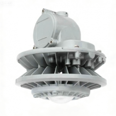 Testermeter-BC9306P Series ATEX seamless anti-corrosion 60W indoor Lamp pole mounted explosion proof LED dock light